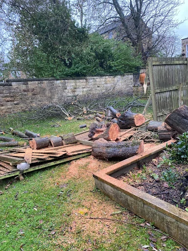 Total Tree Care Solutions photo 7
