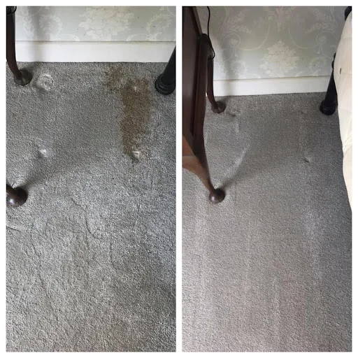 Carpet Cleaning Co photo 4