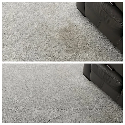 Carpet Cleaning Co photo 6