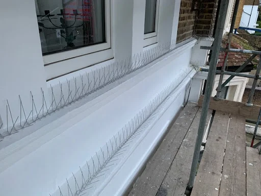 Mercury Pest Control photo 1