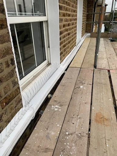 Mercury Pest Control photo 3