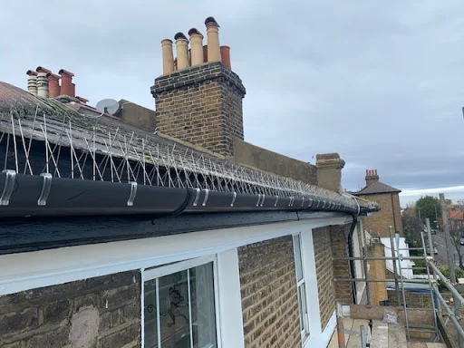 Mercury Pest Control photo 4