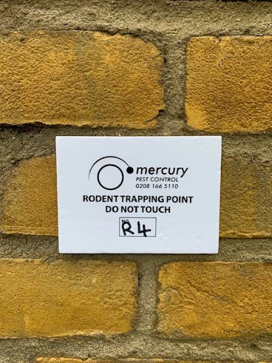 Mercury Pest Control photo 7