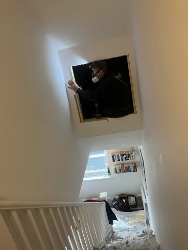 Loft and Ladders Ltd photo 2