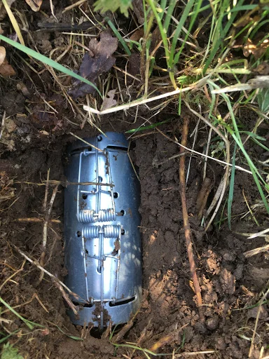 Phoenix Pest Control photo 3