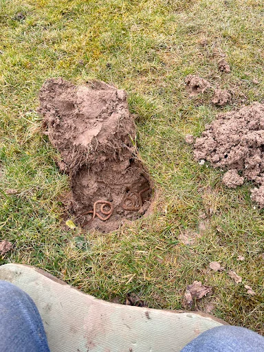 Phoenix Pest Control photo 6