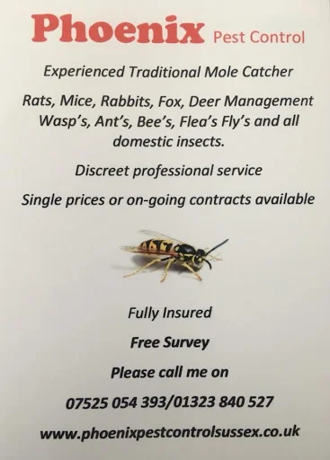 Phoenix Pest Control photo 7