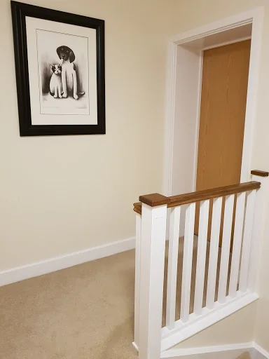 Eddy - Painting, Decorating &amp; Handyman Services photo 3