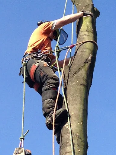 Rowan Tree &amp; Garden Services Ltd photo 2