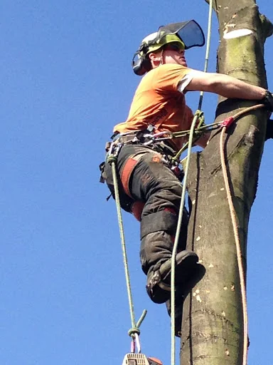 Rowan Tree &amp; Garden Services Ltd photo 3