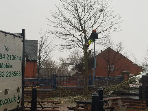 Rowan Tree &amp; Garden Services Ltd photo 8