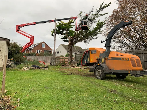 Fellwood Tree Surgeons Ltd photo 1