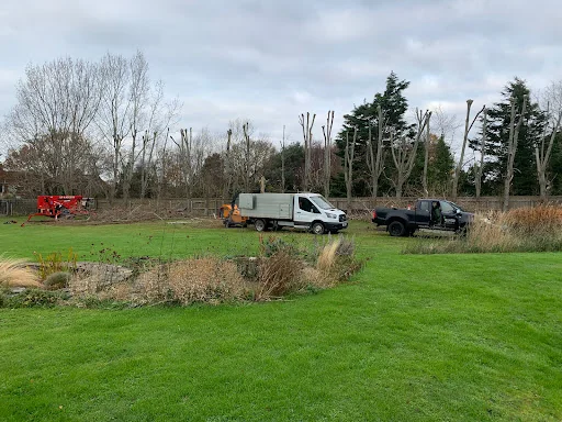 Fellwood Tree Surgeons Ltd photo 2