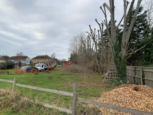 Fellwood Tree Surgeons Ltd photo 3