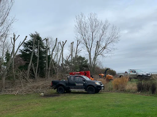 Fellwood Tree Surgeons Ltd photo 4