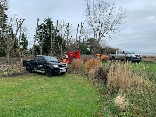 Fellwood Tree Surgeons Ltd photo 6