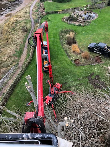 Fellwood Tree Surgeons Ltd photo 7