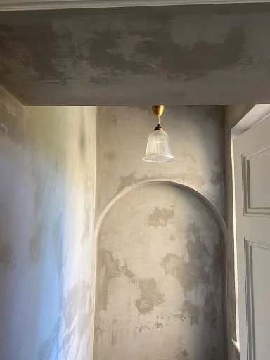 Totally Plastered photo 4