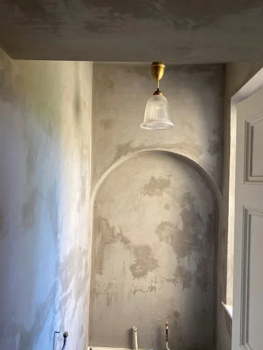 Totally Plastered photo 5