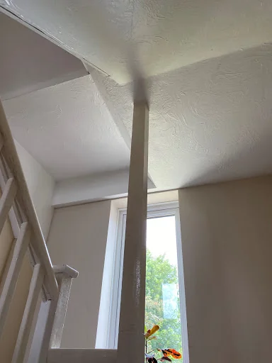 Totally Plastered photo 6