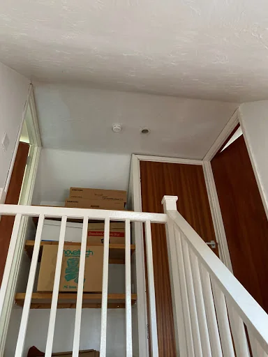 Totally Plastered photo 7