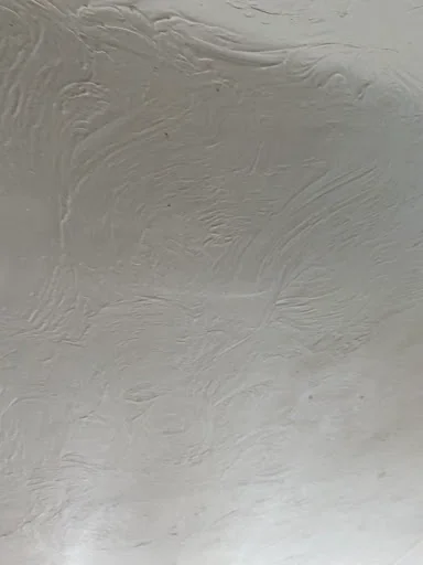 Totally Plastered photo 8