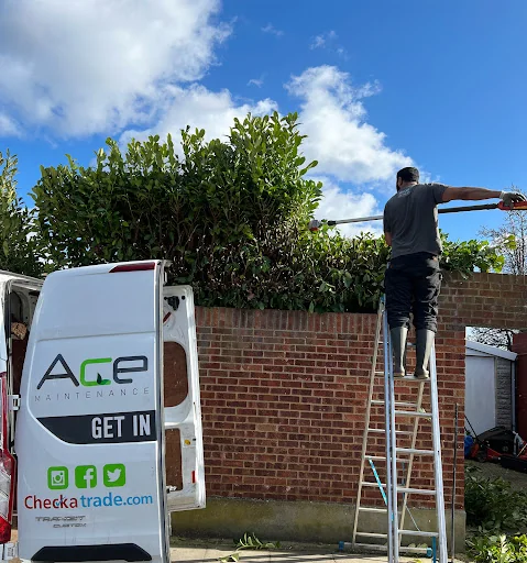 Ace Gardening Services photo 3