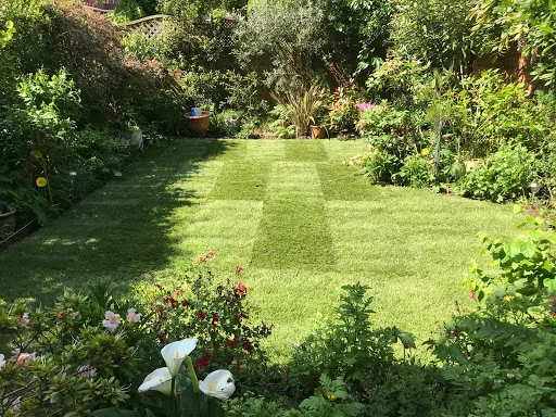 Ace Gardening Services photo 4