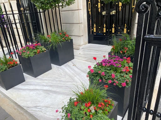 Ace Gardening Services photo 6