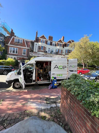 Ace Gardening Services photo 8