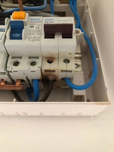 Bear Electrics photo 4