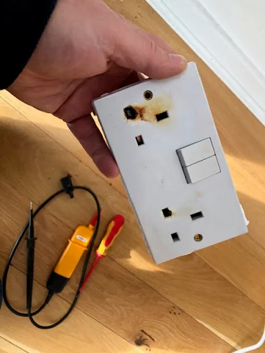 Bear Electrics photo 5