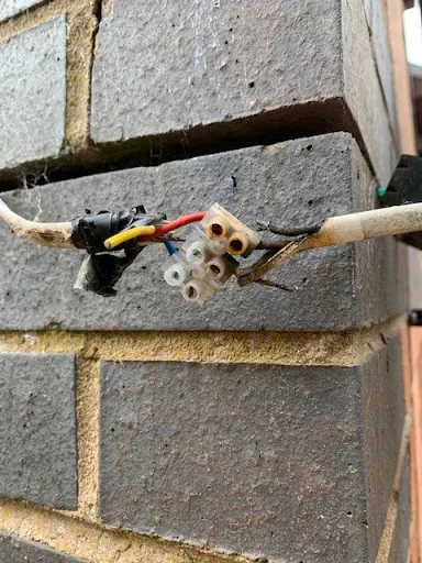 Bear Electrics photo 6