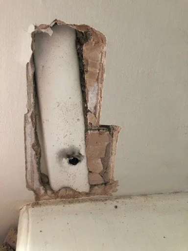 Bear Electrics photo 7