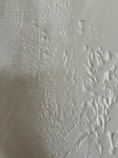 Phil Hunter Plastering photo 6