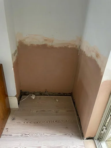 Prokil Kensington photo 2