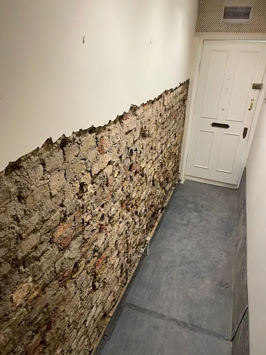 Prokil Kensington photo 3