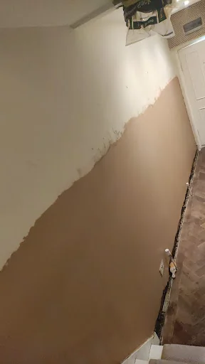 Prokil Kensington photo 5