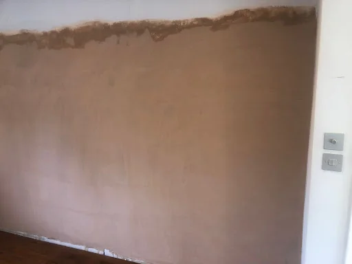 Prokil Kensington photo 6