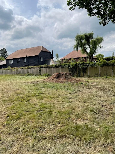 Thompson Tree Care Ltd photo 5