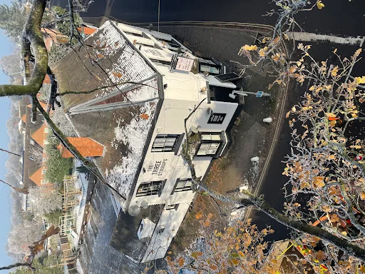 P&amp;R Jones Tree Services Ltd photo 1