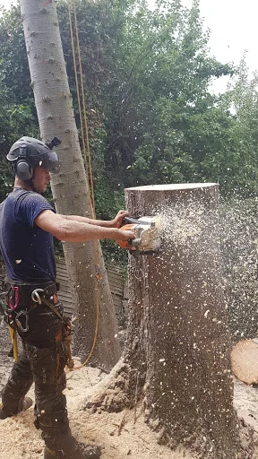 P&amp;R Jones Tree Services Ltd photo 7