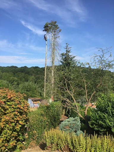 P&amp;R Jones Tree Services Ltd photo 8