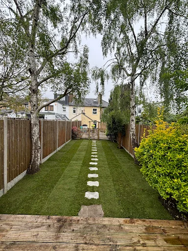 Out on a Limb Tree Care photo 7