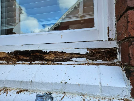 W H Decorators photo 7