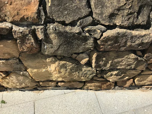 Webbs Garden and Landscape photo 6