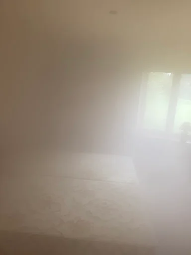 Keye Pest Control photo 5