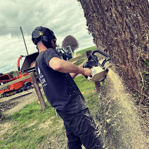 Climbing High Tree Care Ltd photo 1