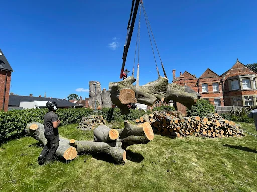 Climbing High Tree Care Ltd photo 3