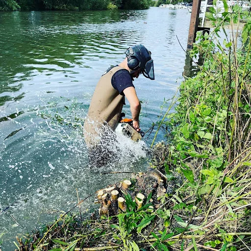 Climbing High Tree Care Ltd photo 6